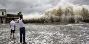 Seller 6 ayda 134 can aldı