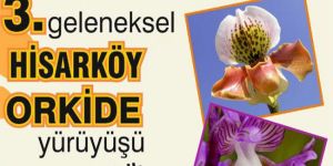 Hirasköy’de orkide ve doğa yürüyüşü…
