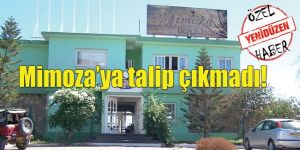 İhale kutusu açıldı