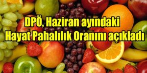 Hayat Pahalılığı %0.31 ARTTI