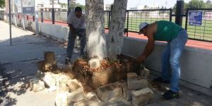 LTB’de yayalar için çalışma