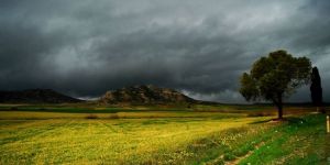 FODER En iyiler arasında