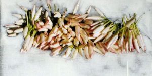 A Lost Moment / “ Kayıp An” ara bölgede