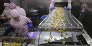 Gıda skandalında 5 gözaltı