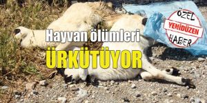 Denetim yok iddiası