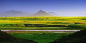 Gökyiğitin Thin Line National Geographic’de