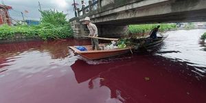 Açıklanamayan olay: Kanlı nehir!