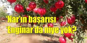 Üretimin iyisi kötüsü