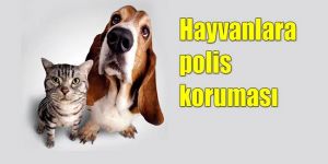 Güney Kıbrısta yeni düzenleme