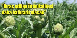 Enginar Üreticileri Kooperatifi kuruldu