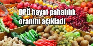 Temmuz ayı hayat pahalılığı % 0.25