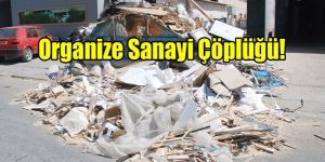 Sanayi Bölgesinde kirlilik ENDİŞELENDİRİYOR