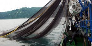 Mağusada KAÇAK BALIK AVI