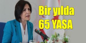 Meclisin bir yıllık performansı