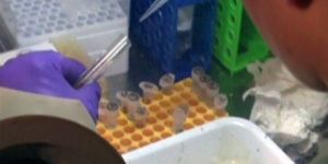 Kanada, Ebola aşısı teklif etti