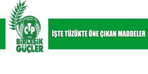 CTP yeni tüzüğü tartışmaya açtı