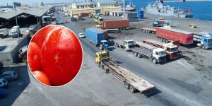 İthalatı yasak domatese el konuldu