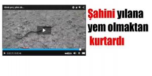 Sosyal medya bunu konuşuyor!