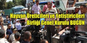 3 ADAY YARIŞIYOR