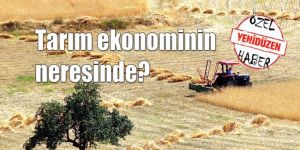 80,4 milyon dolarlık tarıma dayalı ürün ihracatı