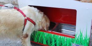 GÜZEL ŞEYLER DE OLUYOR