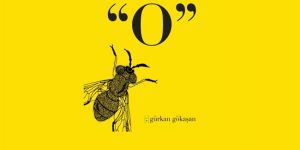 Gökaşanın ilk şiir kitabı O çıktı