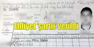 Sürüş Ehliyetleri Müfettişliği açıklama yaptı