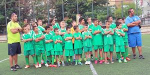 Çanakkale adaya döndü