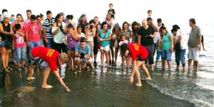 Yavru kaplumbağalar denize bırakıldı