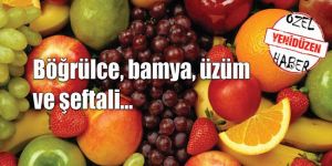 İlaç kalıntısına yakın takip