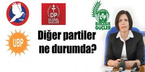 2015 Cumhurbaşkanlığı Seçimi