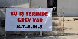 Araç Kayıtta grev sürüyor