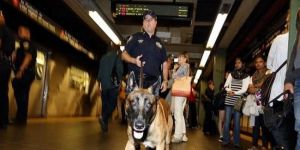 New Yorkta IŞİD alarmı