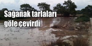 Ülkenin doğusu yağmura teslim