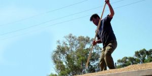 Mali Destek Programı bölgelerde tanıtılacak