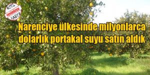 6 Ayda 5 Milyon Dolarlık Portakal Suyu İthalatı