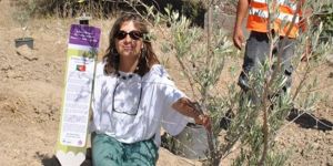 60 ülkeden 553 eser