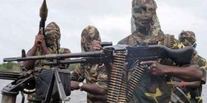 Boko Haram 8 can aldı