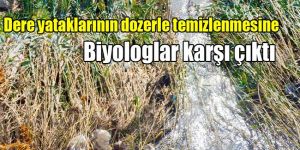 “Selin nedeni derelerdeki canlılar DEĞİL