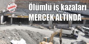 RAPOR BAŞSAVCILIKTA