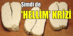 Sanayi Odası: Coğrafi Tescil sahibi odamız