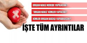 ORGAN NAKLİNE YEŞİL IŞIK