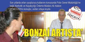 BONZAİ ARTIŞTA