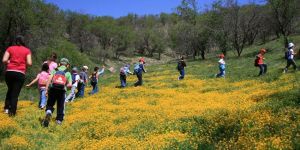 Doğada Öğreniyorum semineri Pazartesi gerçekleşiyor