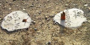 BÜYÜK SAYGISIZLIK!