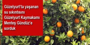“Pazartesi günü sorun giderilecek”