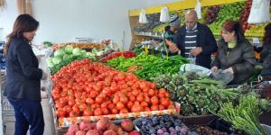 Ekim’de HP %1.75, rekor biber ve domateste