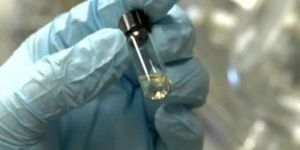 Ebola aşısı 115 gönüllü üzerinde denenecek