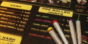 Belediye kendi esrarını üretecek