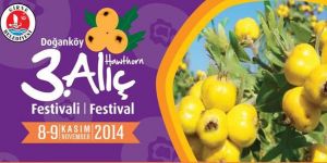 Doğanköy’de 3. Alıç Festivali başladı